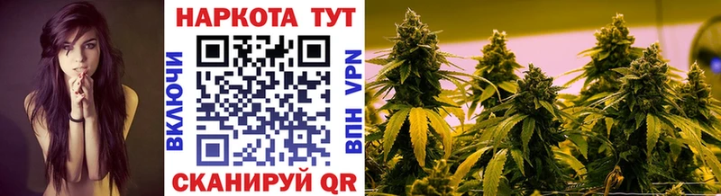 Где продают наркотики Карачаевск Канабис  АМФ  ГАШИШ  гидра вход  Кокаин 
