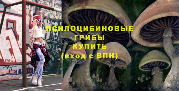 соль курить ск Алексеевка