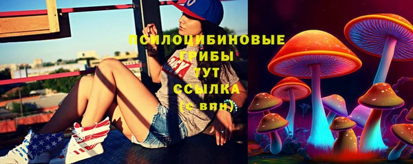 мдпв Ростов