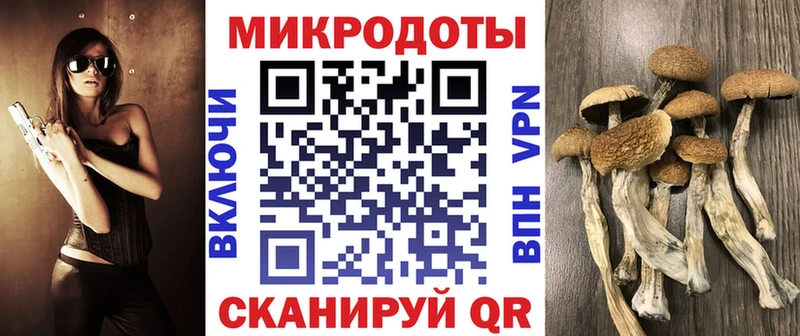 Псилоцибиновые грибы GOLDEN TEACHER  Карачаевск 